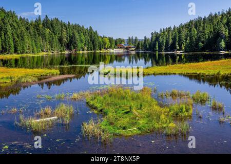 Nature reserve Grosser Arbersee with Arberseehaus, Bayerisch-Eisenstein, Karsee, Bavarian Forest, Lower Bavaria, Bavaria, Germany Stock Photo