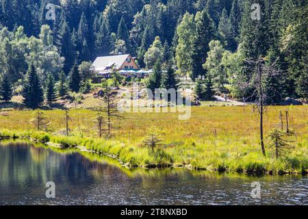 Kleiner Arbersee nature reserve with Seehaeusl inn, Lohberg, Karsee, Bavarian Forest, Upper Palatinate, Bavaria, Germany Stock Photo