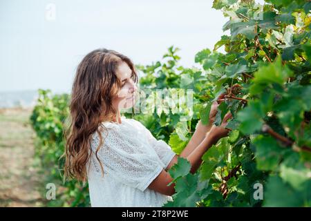 a woman in a white dress at a vineyard holding grapes in her hands Stock Photo