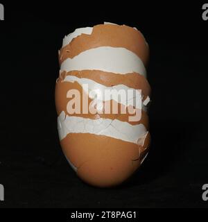 brown and white eggshells on a stack Stock Photo