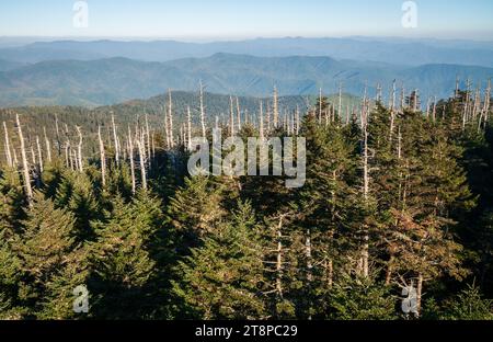 The view from Clingmans Dome at The Great Smoky Mountains national park Stock Photo