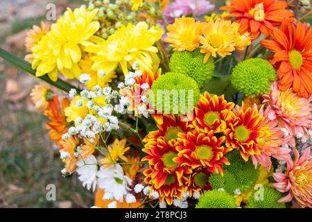 Autumn flowers bad for party decorations Stock Photo - Alamy