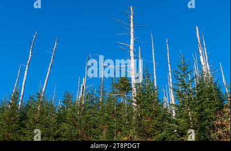 The view from Clingmans Dome at The Great Smoky Mountains national park Stock Photo