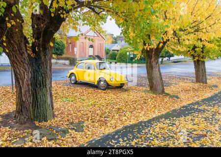 A bright yellow car parked over colourful autumn leaves between elm trees at Maldon in Central Victoria, Australia Stock Photo