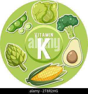 Learn about vitamin K-rich foods in a fun cartoon illustration Stock Vector