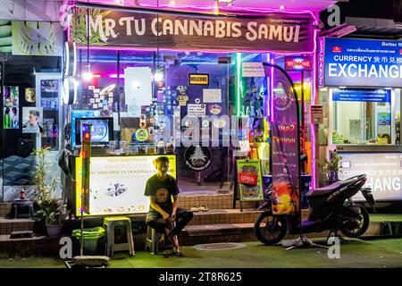 Legal cannabis shop frontage, Chaweng, Ko Samui, Thailand Stock Photo