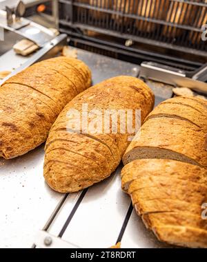 Sourdough bread slicing in industrial bread slicing machine in bread factory Stock Photo