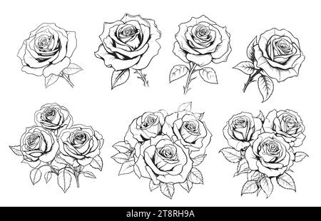 Premium Vector | Set of tattoo style roses. element for poster, card,  banner, t shirt. image