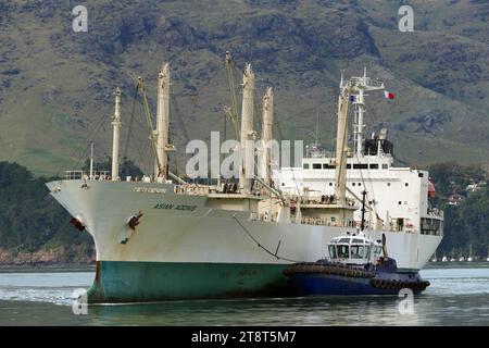 Asian Adonis, Reefer, Flag Panama Stock Photo