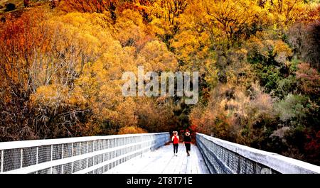 Bridge walk. Otago, Situated 10 kilometres from Queenstown (off highway 6), the Old Lower Shotover Bridge was built in 1871 and offers foot traffic eye-catching 360 panoramic views of the Shotover River Stock Photo