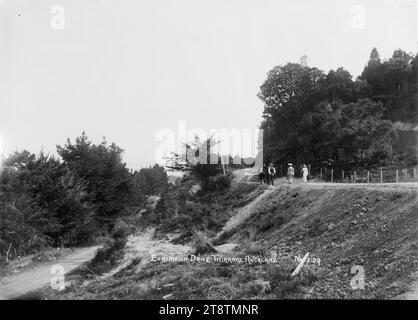 Exhibition Drive, Titirangi, Auckland, New Zealand, Exhibition Drive, Titirangi. Two women and three men can be seen in the middle distance walking away from the camera in early 1900s Stock Photo