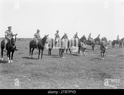 Judging the Officers' Charger Class at the New Zealand Infantry Brigade horse show, France, Horses and riders in the Officers' Chargers Class being judged at the New Zealand Infantry Brigade horse show held in Vaucelles, France, during World War I. Photograph taken 20 May 1918 Stock Photo