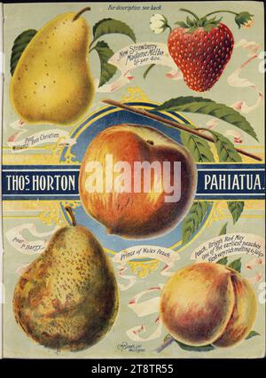 Thomas Horton Ltd: Thos. Horton Pahiatua. Prince of Wales peach. C M Banks Ltd, Wellington, New Zealand ca 1905, Shows 'Prince of Wales' peach in centre, surrounded by (clockwise from top left): Williams' Bon Chretien pear, 'Madame Melba' strawberry, 'Brigg's Red May' peach, and 'P. Barry' pear Stock Photo