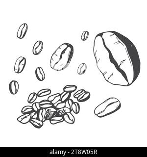 Coffee beans icon. Vector illustration Stock Vector