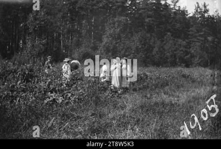 Simberg Hugo in the Rocking Chair Anni Bremer Stock Photo Alamy