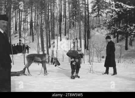 Hugo Simberg, 24.6.1873, Hamina, 12.7.1917, Ähtäri, Lapland outfit, snow, travels, forest, man, Oulu, reindeer, plastic sledge, winter - Work: Woman in the garden Stock Photo