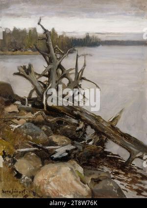 Eero Järnefelt, 8.11.1863, Vyborg, 15.11.1937, Helsinki, Dead Pine in the Water, 1898, 36.5 × 27.5 cm, oil Stock Photo