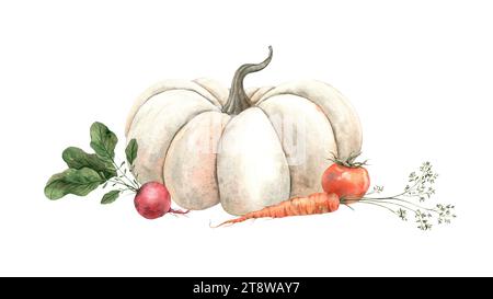 Watercolor composition with pumpkin, radish, tomato, carrot. Hand drawn illustration for use in design, posters, menus, cards, corporate identity. Stock Photo