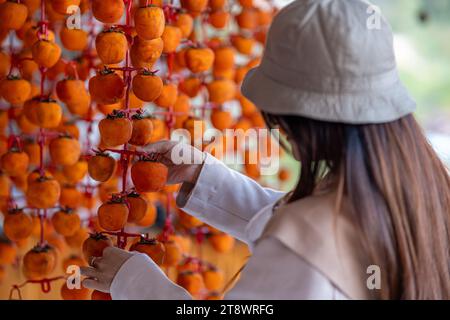 Young woman traveler enjoying dried persimmon hanged on strings to dry a common sight in Da Lat, Vietnam. By hanging them on a rig and placed in an ai Stock Photo