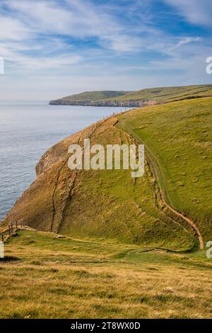 The South Coast path on the Isle of Purbeck towards St Aldhelm’s Head, Dorset, England Stock Photo