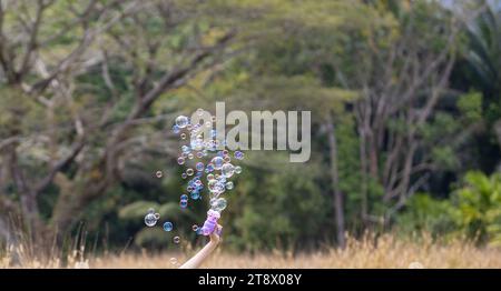 Soap bubbles on a green background with plants in the background. Stock Photo