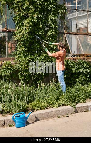 bearded gardener in gloves and apron cutting twigs on green tree with big gardening scissors Stock Photo