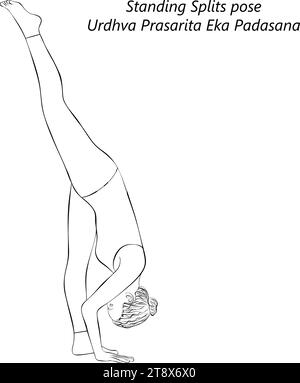 Sketch of young woman doing yoga Urdhva Prasarita Eka Padasana. Standing Splits pose. Isolated vector illustration. Stock Vector