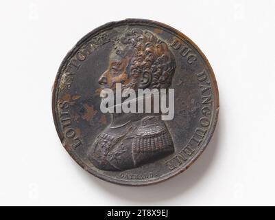 Declaration of the Duke of Angoulême at Pont-Saint-Esprit, April 10, 1815, Gayrard, Raymond, Engraver in medals, Array, Numismatics, Medal Stock Photo