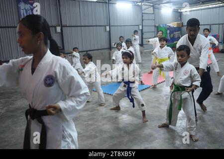 Children, who are students of the 'Shotokan Karate-Do Association of Tripura', are seen performing karate during a special class on Children's day in Barjala, at Agartala. Tripura, India. Stock Photo