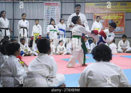 Children, who are students of the 'Shotokan Karate-Do Association of Tripura', are seen performing karate during a special class on Children's day in Barjala, at Agartala. Tripura, India. Stock Photo