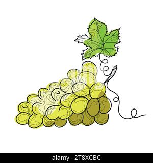 Line art abstract grape bunch isolated on white background.Hand drawn sketched white grape with leaf.Design emblem,icon,logo,Vector illustration. Stock Vector