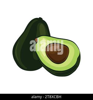 Vector simple drawing of avocado fresh fruit isolated on white background.Whole and halved avocado with pit cartoon illustration.Healthy food design e Stock Vector