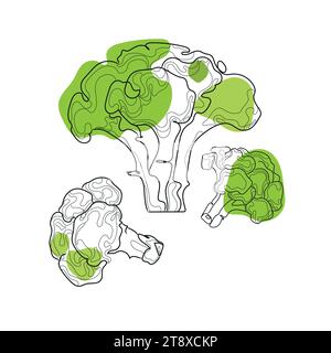 Green broccoli abstract line art on white background.Doodle food vegetables vector illustration on white background.Vegan nature organic farm market i Stock Vector