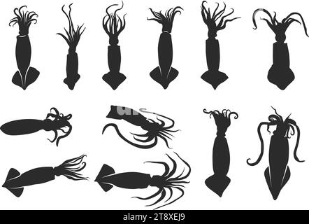 Squid silhouette, Squid clipart, Squid octopus silhouette, Squid vector illustration, Squid icon bundle. Stock Vector