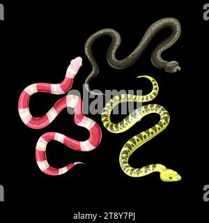Different snakes isolated on the black background. Vector. Stock Vector