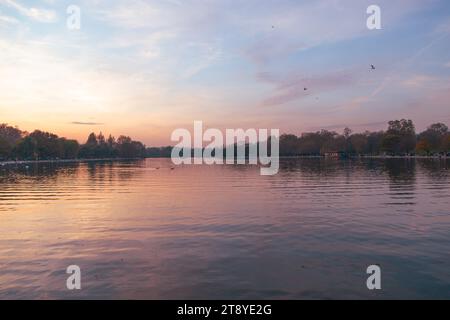 Beautiful pink sunset over The Serpentine Lake in Hyde Park. London, UK. Sill water with reflection on lake. Trees in the background. Stock Photo