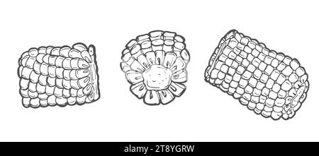 Doodle outline corn pieces with spot. Vector hand-drawn illustration for packing isolated on transparent background Stock Vector