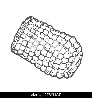 Corn graphic black white isolated sketch illustration Stock Vector