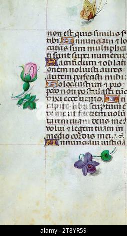 illuminated manuscript page