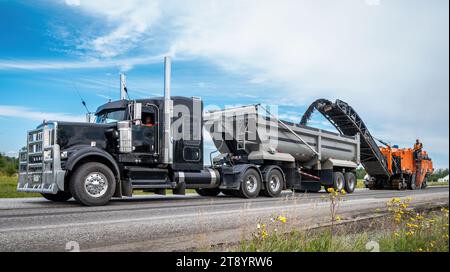 Black semi trailer with a orange planer working on a road construction site, with small flowers in the foreground Stock Photo