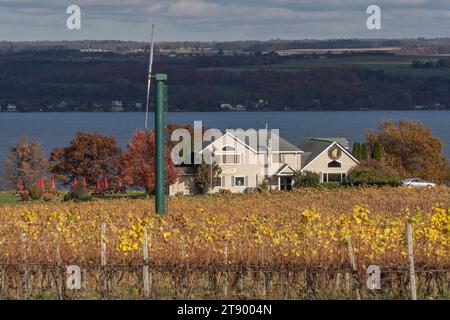 Ovid, New York – November 5, 2023: Thirsty Owl Vineyard is located on Cayuga Lake in the Finger Lakes Region of New York Stock Photo