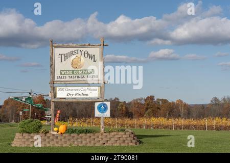 Ovid, New York – November 5, 2023: Thirsty Owl Vineyard is located on Cayuga Lake in the Finger Lakes Region of New York Stock Photo