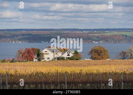 Ovid, New York – November 5, 2023: Thirsty Owl Vineyard is located on Cayuga Lake in the Finger Lakes Region of New York Stock Photo