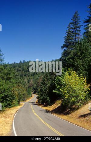 Rogue-Coquille National Scenic Byway, Siskiyou National Forest, Oregon Stock Photo