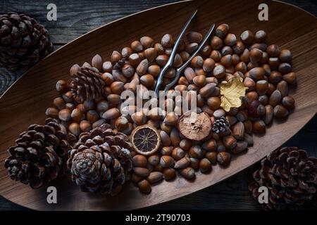 Fresh hazelnuts in a large dish top view with hazelnut breaker and pine cones dark ambiance Stock Photo