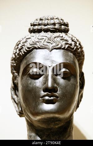 Head of Buddha, Kushan period, 1-299, H.17-1/2 in., Grey schist, Pakistan, 1st-3rd century, Alexander the Great invaded India in 330 b.c. conquering the ancient kingdom of Gandhara which occupied much of present day Pakistan. This brought northwestern India into contact with the Mediterranean world and, from about the first to the late fourth century a.d., there flourished a Gandharan school of sculpture in which a mixture of Eastern and Western influences is evident. Certain characteristics of the Greco-Roman sculptural style were combined with Indian motifs and iconography Stock Photo