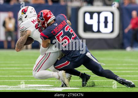 Arizona Cardinals Tight End Blake Whiteheart (47) In Action During The ...