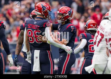 Houston Texans tight end Dalton Schultz 86 enters the field