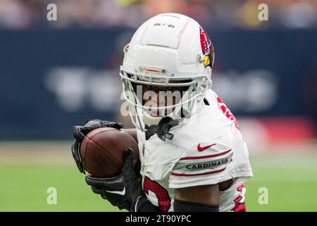 Arizona Cardinals wide receiver Greg Dortch (4) scores a touchdown ...