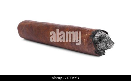 One burnt expensive cigar isolated on white Stock Photo